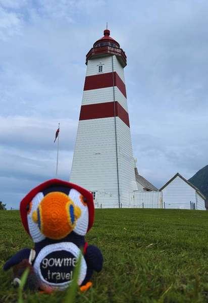 Fluffy near Alnes lighthouse on the Norwegian coast