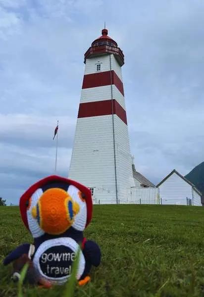 Fluffy near Alnes lighthouse on the Norwegian coast