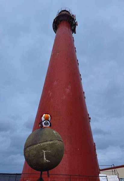 Fluffy at Andenes lighthouse in Norway