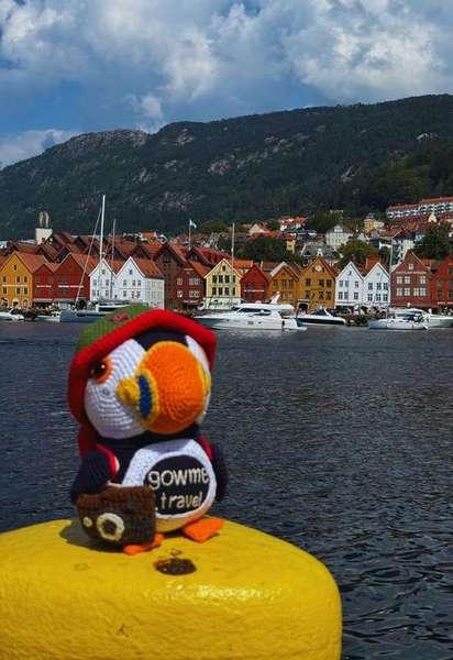 Fluffy in Bergen, Norway