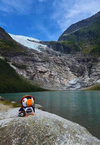 Fluffy at Boyabreen Glacier in Norway