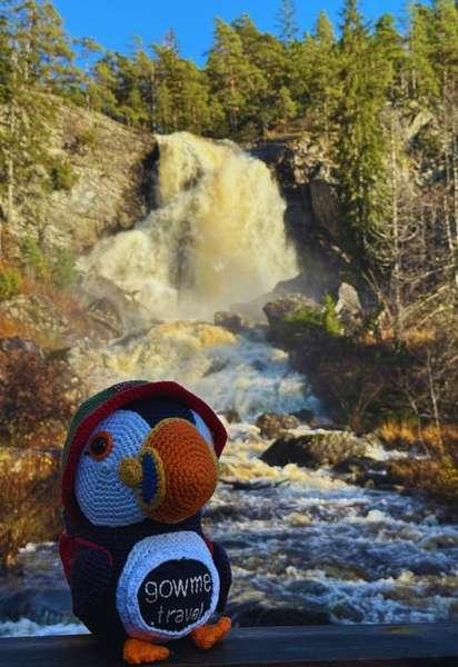 Fluffy by Elgåfossen waterfall in Norway