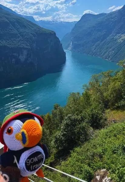 Fluffy overlooking Geiranger Fjord in Norway