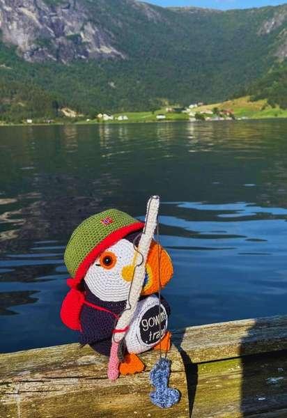 Fluffy at Ikjefjord in Norway