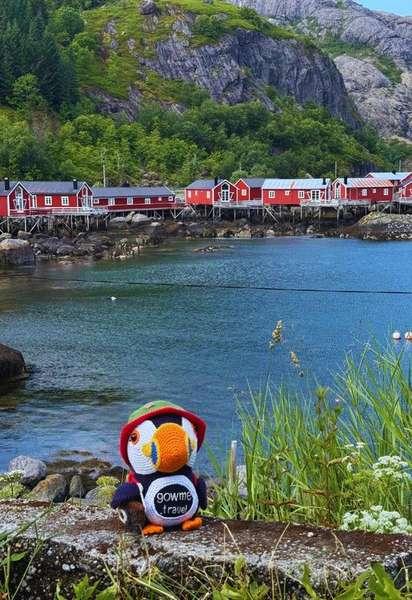 Fluffy in Nusfjord harbor in Norway