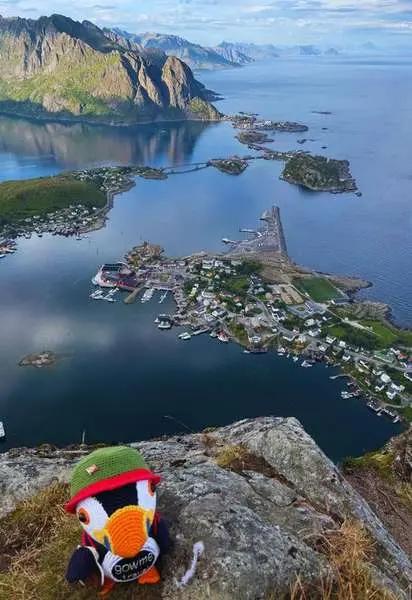 Fluffy at Reinebringen viewpoint in Lofoten, Norway