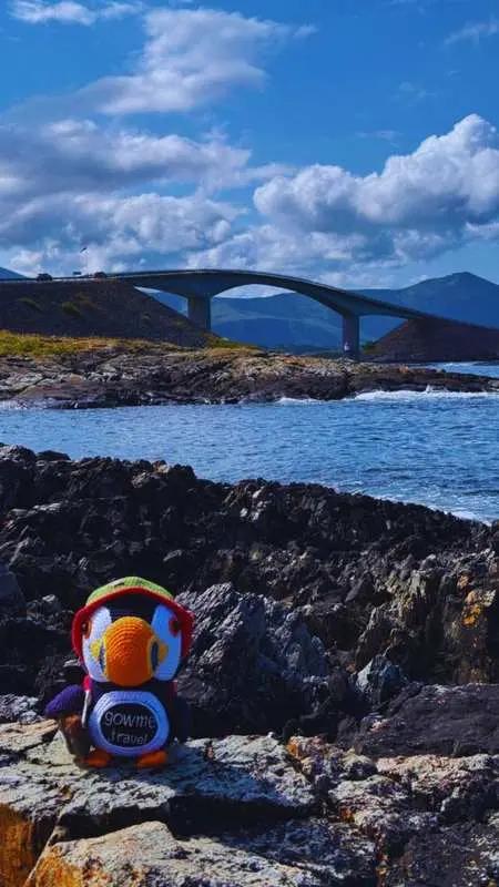 Fluffy on the Atlantic Road boardwalk in Norway