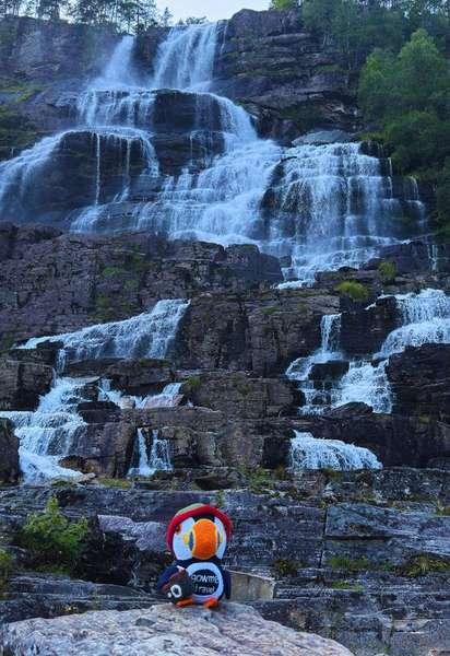 Fluffy by Tvindefossen waterfall in Norway