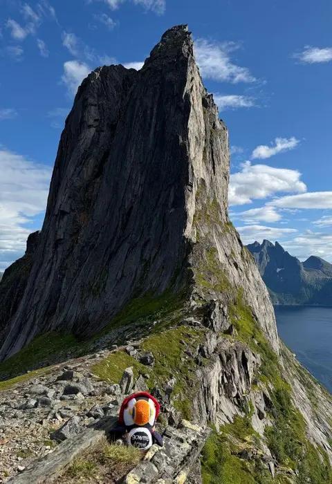 Fluffy at Segla Peak in Norway