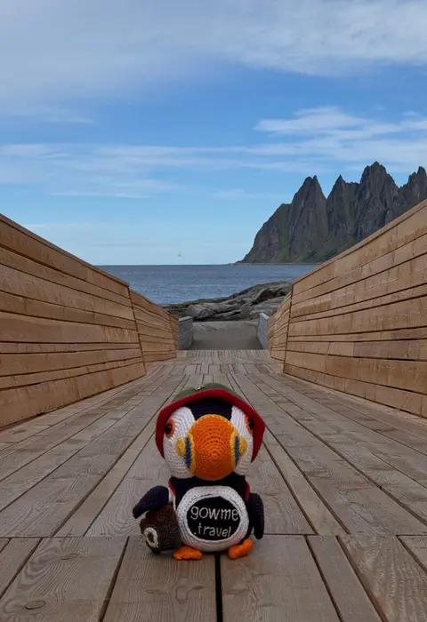 Fluffy on Senja Island in Norway