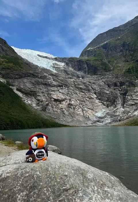 Fluffy at Boyabreen Glacier in Norway